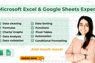 be your microsoft excel and google sheets expert