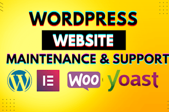 provide expert elementor pro and ecommerce customizations