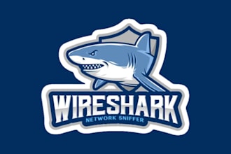 do wireshark packet analysis projects