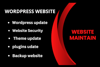 provide wordpress maintenance and fix website errors