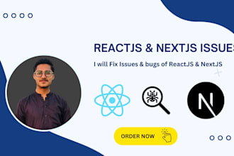 fix any reactjs and nextjs issues and bugs professionally