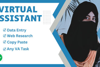 do virtual assistant, data entry, web searching, data input, data extraction