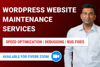 optimize, maintain, fix bugs for wordpress website page speed, site performance