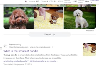 publish guest post on my dr30 da58 plus pet blog guest posting