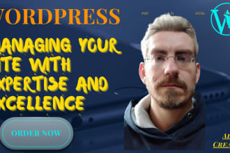 update, manage, fix, optimize, support wordpress website