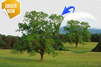 remove background and clipping path of product images for ecommerce