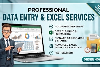 provide data entry and excel services
