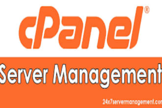 expert cpanel server manager for your website