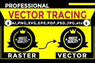redraw, modify, recreate your logo or image to high resolution