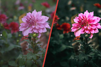 edit and color grade photos in lightroom