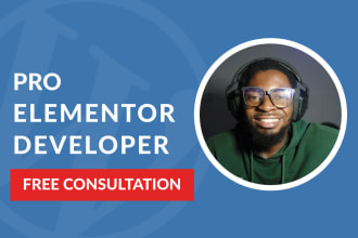 develop a responsive wordpress website using elementor pro