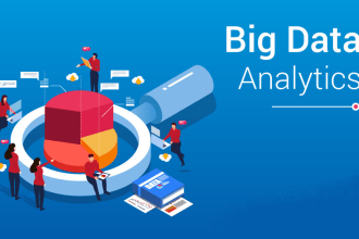 do data analysis, risk assessment and audit consultancy