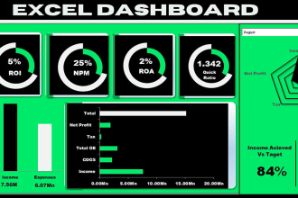 create a professional excel dashboard for your business