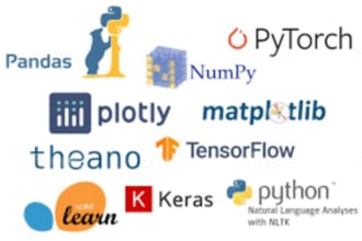 teach you python programming from beginners to professional