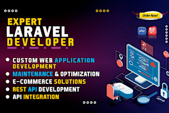 develop a professional website or app in laravel