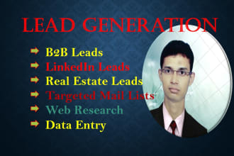 provide b2b lead, linkedin lead and niche target email list