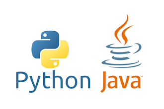 program your python or java project