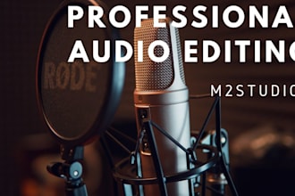 do professional noise reduction, audio cleaning, audio edit
