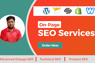 do complete SEO optimization services for wordpress, wix, squarespace, shopify