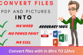 convert PDF, picture, retyping into word, excel ,power point