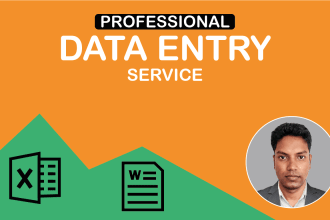 be your data entry expert on web research data mining data collection copy paste