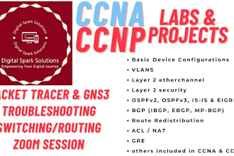 do your ccna ccnp networking basic to advance projects