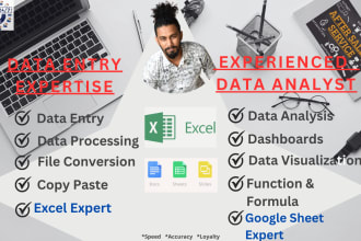 do excel data entry, data analysis, data visualization and dashboards