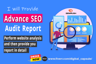 provide a professional SEO audit report for your website