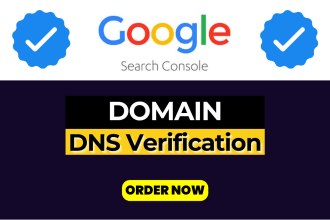 do website domain dns verification in google search console