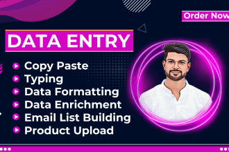 do accurate data entry, copy paste, web research, product upload, typing job