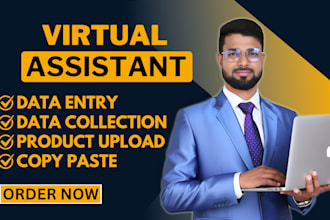 do accurate data entry, copy paste, web research, excel data entry jobs