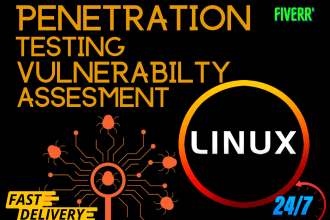 provide expert penetration testing and manual kali linux services