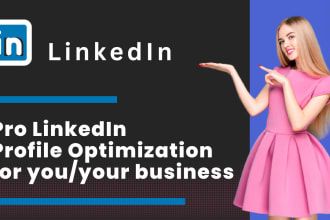 optimize a professional linkedin profile