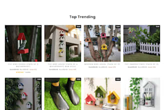 building, customizing, and managing ecommerce stores