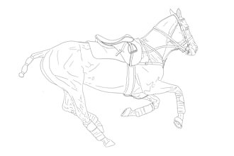 draw your horse or other pet in line art style, vector, png, jpg, pdf