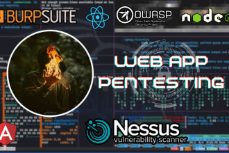 do website penetration testing with comprehensive reporting