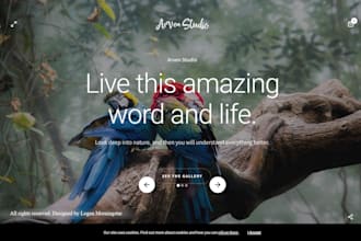 create photography website, design personal portfolio website,do wedding website