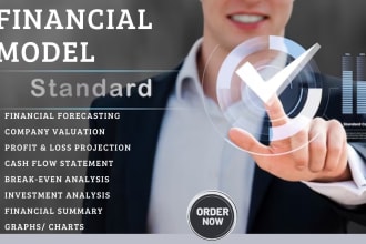 prepare a financial plan, balance sheet, income, and cash flow statement