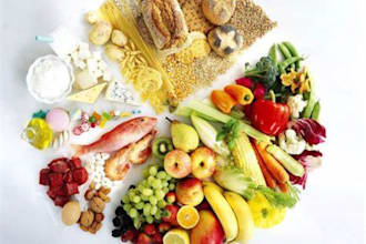 organize your daily nutrition plan and help you with your weight loss process