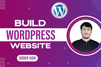 do professional wordpress website design and redesign