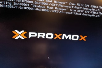 proxmox GPU passthrough and vgpu
