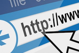 develop the professional website you need