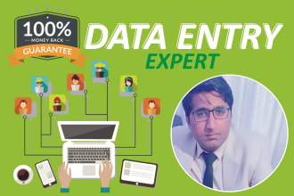 do data collection, web research, data entry, data extraction