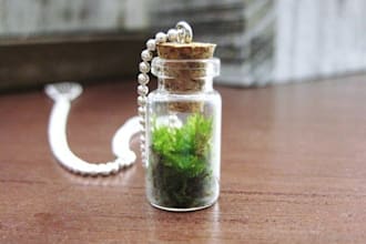 make you a Live Moss Mini Terrarium in Glass Bottle
