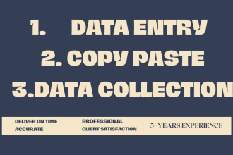 do data entry excel, word, and google sheets