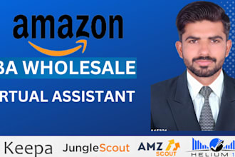 be your amazon fba wholesale virtual assistant