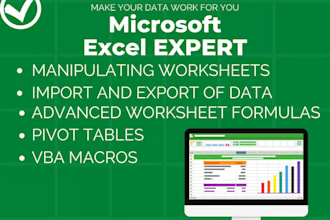 be an expert in microsoft excel, google sheets, macroformula,script, automation