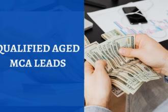 provide exclusive warm mca aged leads