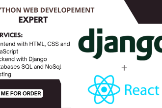 design and develop django or flask web apps with react js