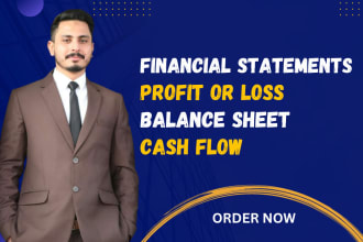 do profit and loss, balance sheet, financial statements